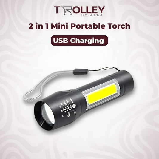 2-in-1 Mini portable Torch - USB Charging